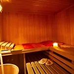 Harzer Wiesenblick, Bis 2 Hunde Willkommen, W-lan, Sauna, Dtv 4 Sterne, 3 Pfoten Appartement
