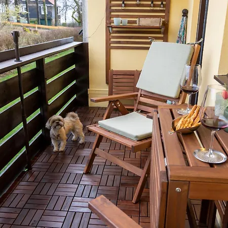 Harzer Wiesenblick, Bis 2 Hunde Willkommen, W-lan, Sauna, Dtv 4 Sterne, 3 Pfoten * Braunlage