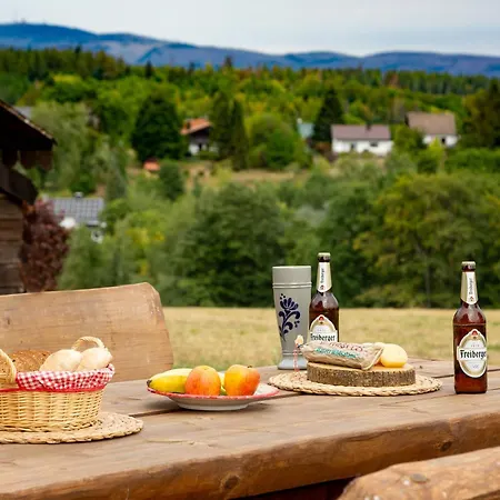 Διαμέρισμα Harzer Wiesenblick, Bis 2 Hunde Willkommen, W-lan, Sauna, Dtv 4 Sterne, 3 Pfoten Braunlage