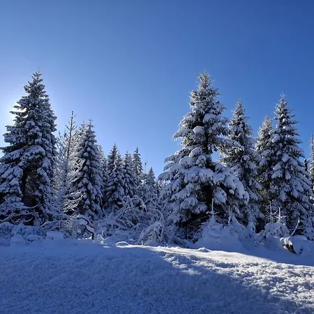 Apartment Harzer Wiesenblick, Bis 2 Hunde Willkommen, W-lan, Sauna, Dtv 4 Sterne, 3 Pfoten Braunlage