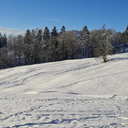 Harzer Wiesenblick, Bis 2 Hunde Willkommen, W-lan, Sauna, Dtv 4 Sterne, 3 Pfoten