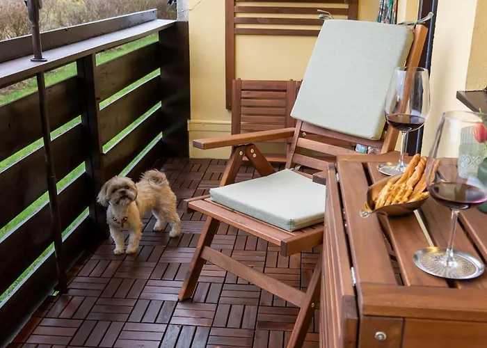 Harzer Wiesenblick, Bis 2 Hunde Willkommen, W-lan, Sauna, Dtv 4 Sterne, 3 Pfoten * Браунлаге