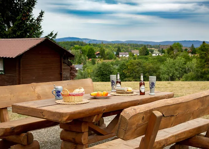 公寓 Harzer Wiesenblick, Bis 2 Hunde Willkommen, W-lan, Sauna, Dtv 4 Sterne, 3 Pfoten 布劳恩拉格