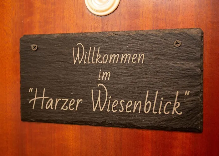 Harzer Wiesenblick, Bis 2 Hunde Willkommen, W-lan, Sauna, Dtv 4 Sterne, 3 Pfoten Апартаменты Браунлаге