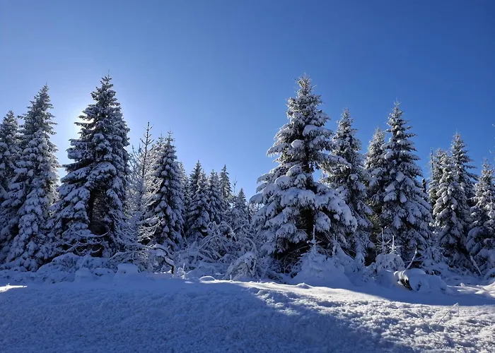 公寓 Harzer Wiesenblick, Bis 2 Hunde Willkommen, W-lan, Sauna, Dtv 4 Sterne, 3 Pfoten 布劳恩拉格